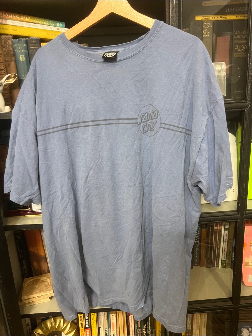 Santa Cruz Skateboards Light Blue Short Sleeve Graphic Tee